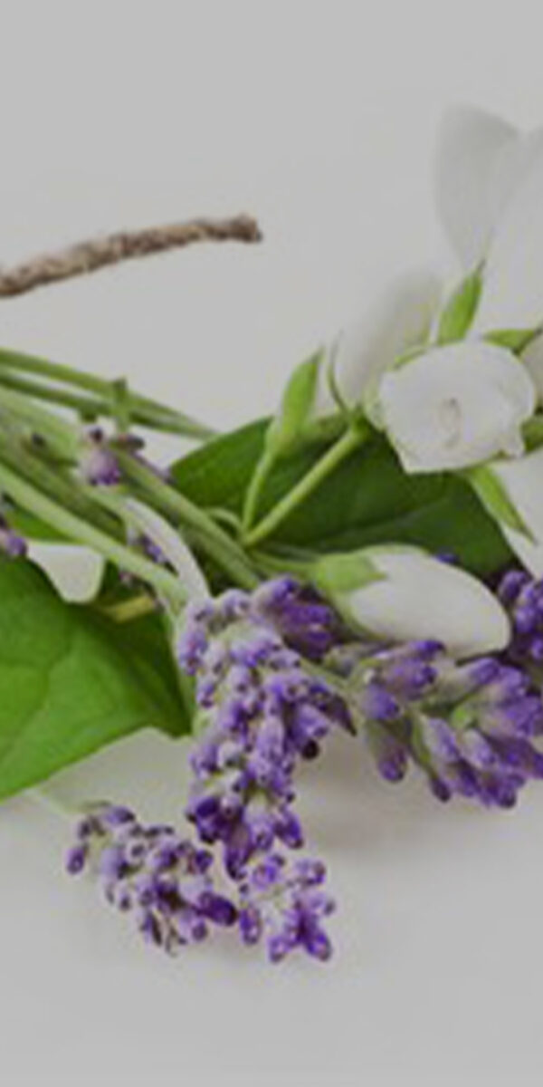 Political Peoples Air Freshener Flower Garden Scent - Image 5
