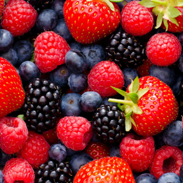 Political Peoples Air Freshener Bursting Berry Scent